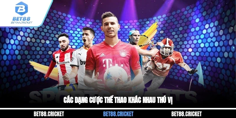 Các dạng cược thể thao khác nhau thú vị