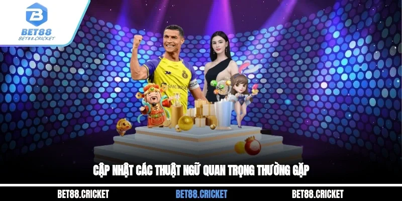 Cập nhật các thuật ngữ quan trọng thường gặp