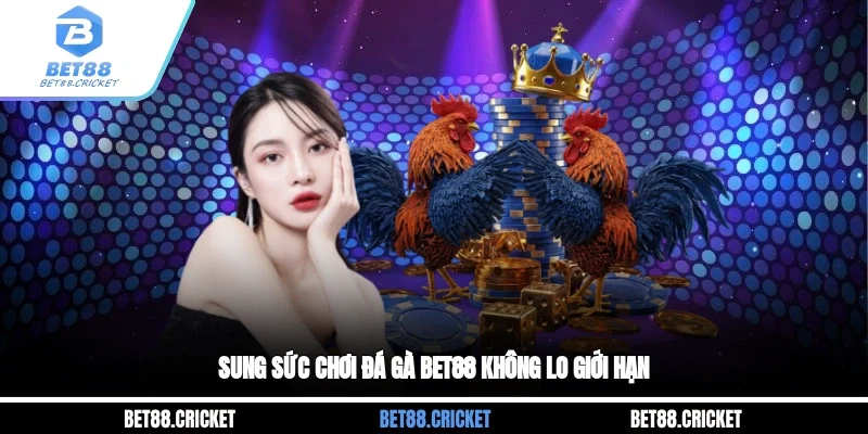 Sung sức chơi đá gà BET88 không lo giới hạn